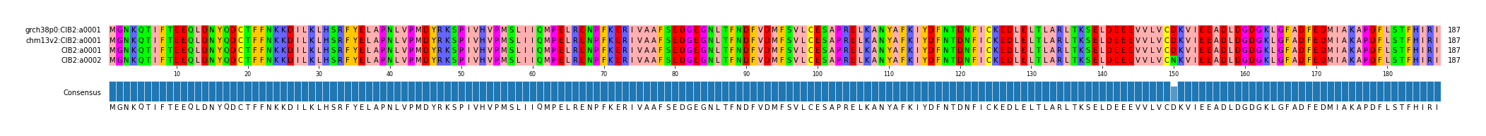 Multiple Alignments (by translate haplotype similarity)