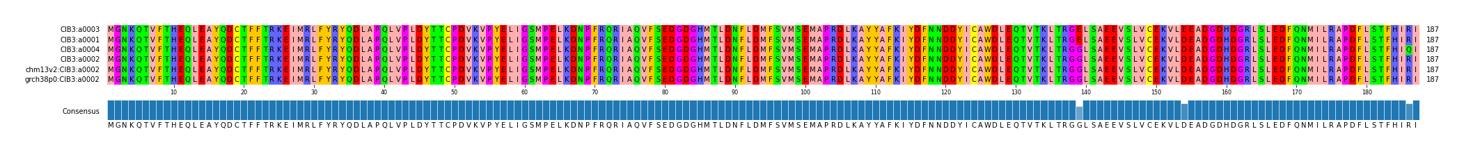 Multiple Alignments (by translate haplotype similarity)