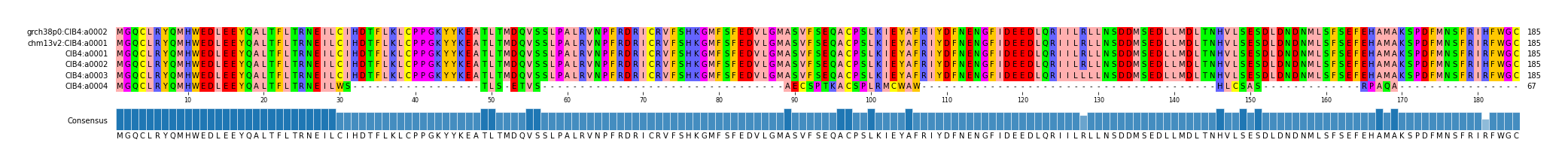 Multiple Alignments (by translate haplotype frequency)