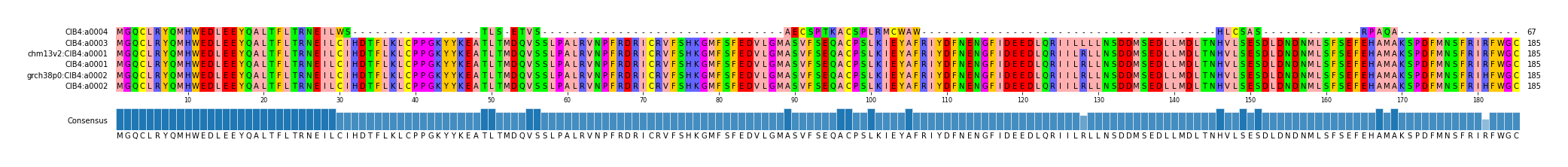 Multiple Alignments (by translate haplotype similarity)