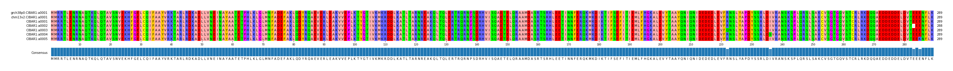 Multiple Alignments (by translate haplotype frequency)