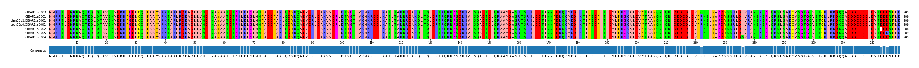 Multiple Alignments (by translate haplotype similarity)
