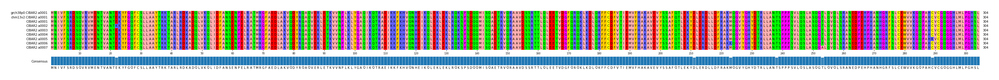 Multiple Alignments (by translate haplotype frequency)