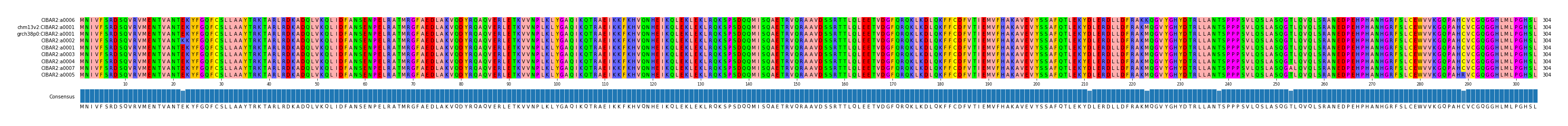 Multiple Alignments (by translate haplotype similarity)
