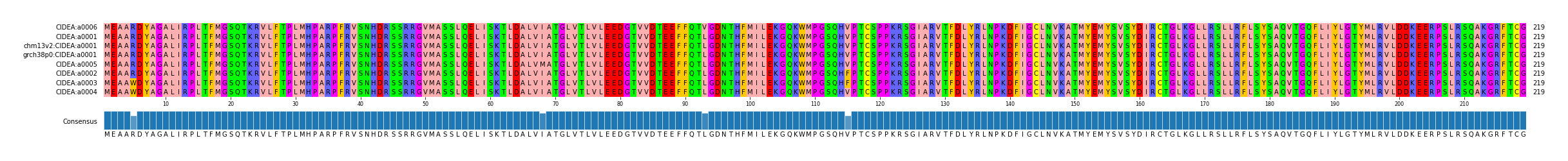 Multiple Alignments (by translate haplotype similarity)