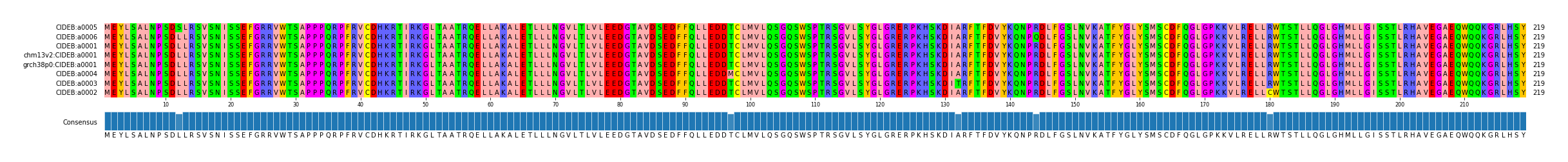 Multiple Alignments (by translate haplotype similarity)