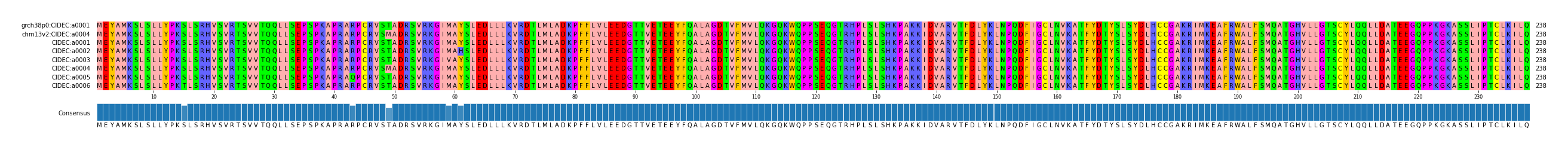 Multiple Alignments (by translate haplotype frequency)