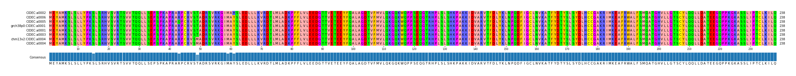 Multiple Alignments (by translate haplotype similarity)