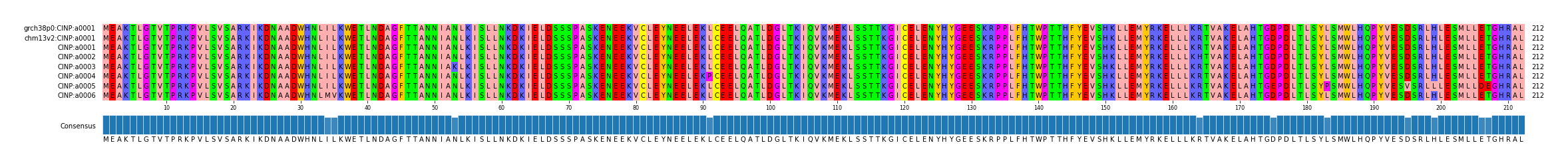 Multiple Alignments (by translate haplotype frequency)