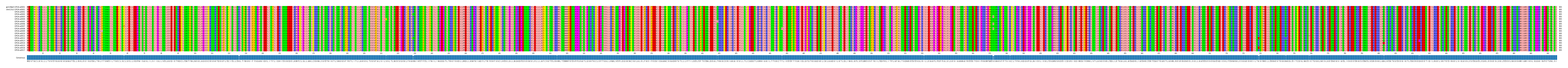 Multiple Alignments (by translate haplotype frequency)