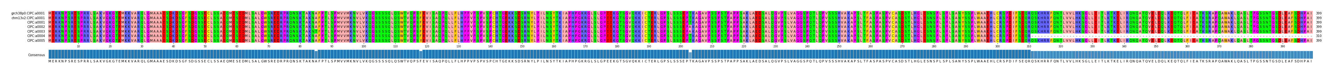 Multiple Alignments (by translate haplotype frequency)