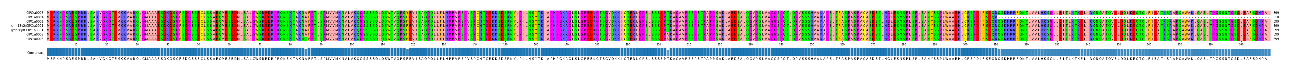 Multiple Alignments (by translate haplotype similarity)