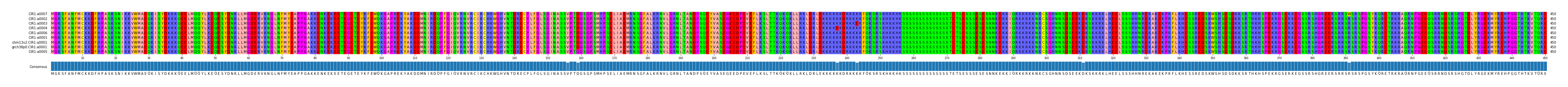 Multiple Alignments (by translate haplotype similarity)