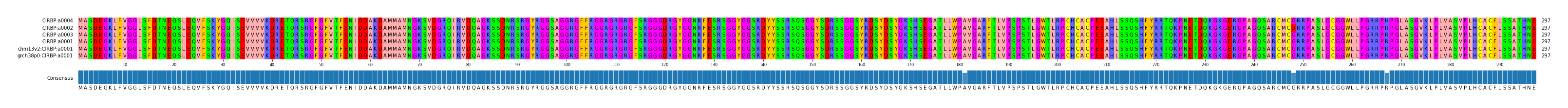 Multiple Alignments (by translate haplotype similarity)