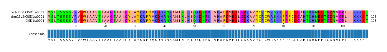 Multiple Alignments (by translate haplotype similarity)