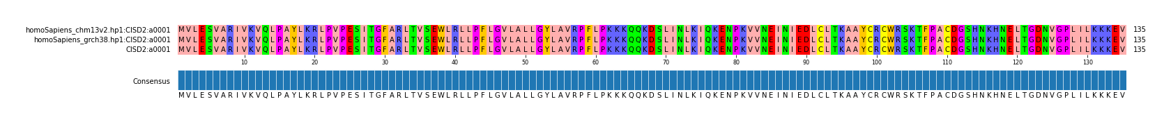 Multiple Alignments (by translate haplotype similarity)