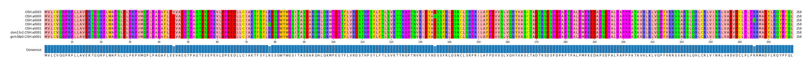 Multiple Alignments (by translate haplotype similarity)