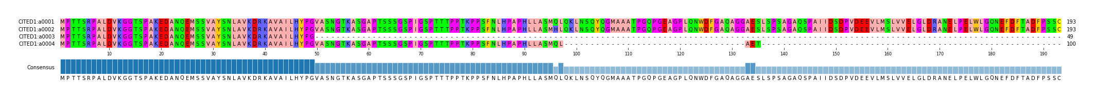 Multiple Alignments (by translate haplotype frequency)
