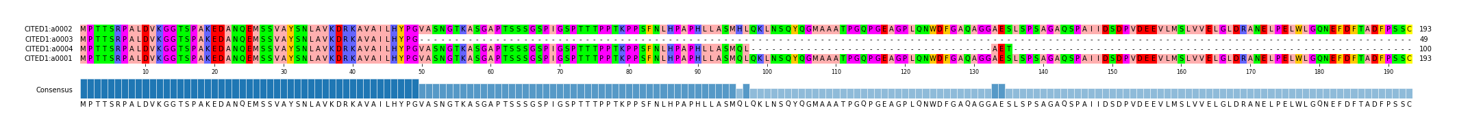 Multiple Alignments (by translate haplotype similarity)