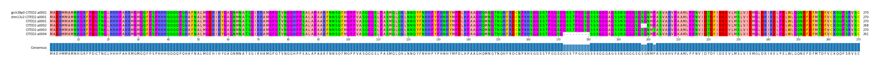 Multiple Alignments (by translate haplotype frequency)