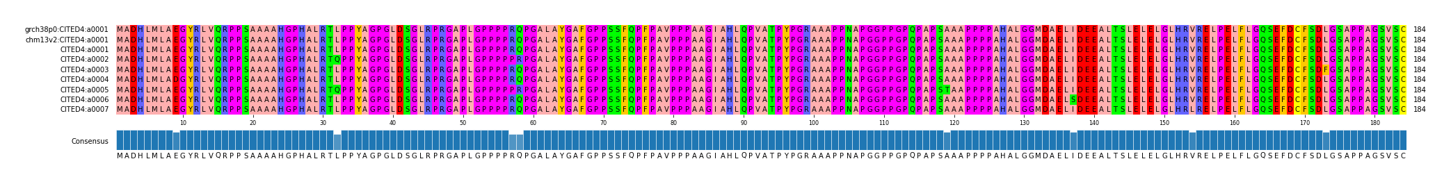Multiple Alignments (by translate haplotype frequency)