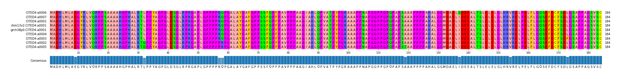 Multiple Alignments (by translate haplotype similarity)