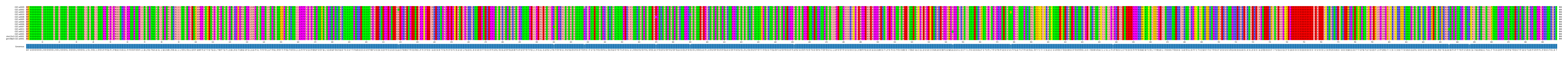 Multiple Alignments (by translate haplotype similarity)
