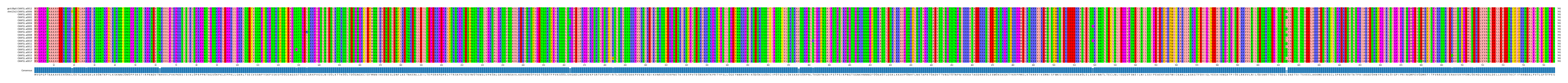 Multiple Alignments (by translate haplotype frequency)