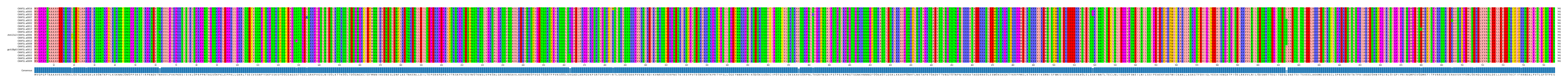 Multiple Alignments (by translate haplotype similarity)