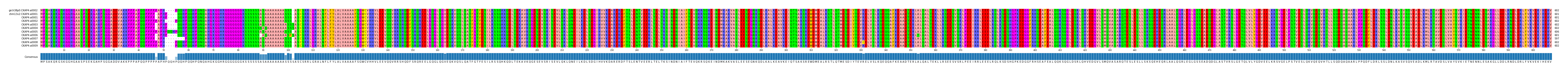 Multiple Alignments (by translate haplotype frequency)
