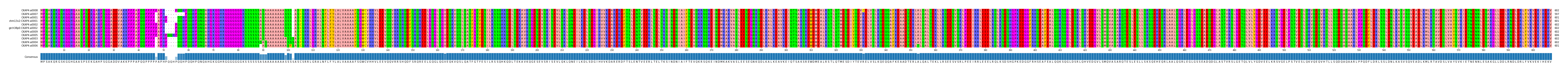 Multiple Alignments (by translate haplotype similarity)