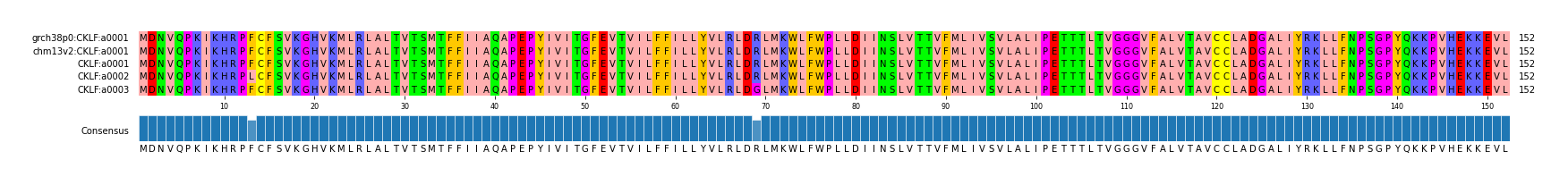Multiple Alignments (by translate haplotype frequency)