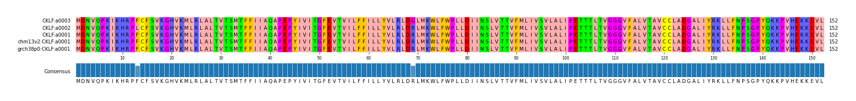 Multiple Alignments (by translate haplotype similarity)