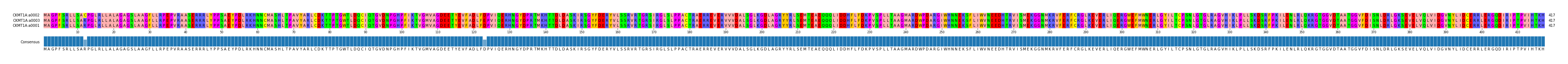 Multiple Alignments (by translate haplotype similarity)