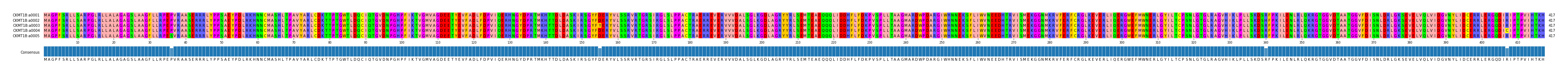 Multiple Alignments (by translate haplotype frequency)