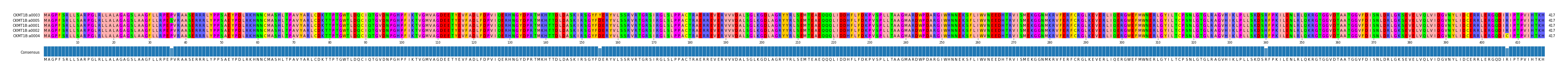 Multiple Alignments (by translate haplotype similarity)