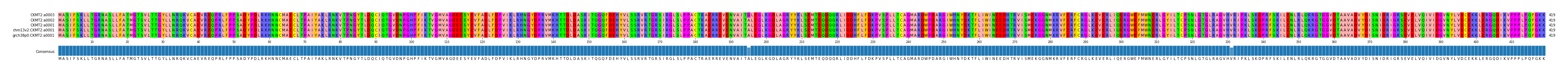 Multiple Alignments (by translate haplotype similarity)