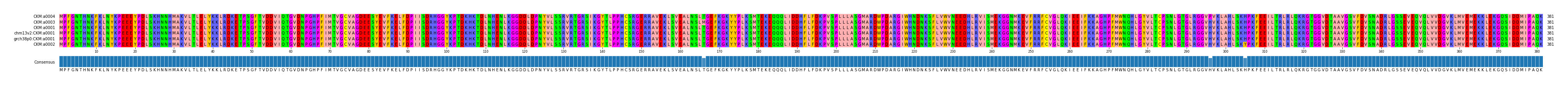 Multiple Alignments (by translate haplotype similarity)