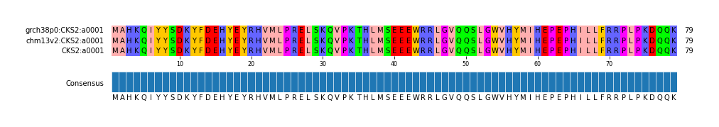 Multiple Alignments (by translate haplotype similarity)