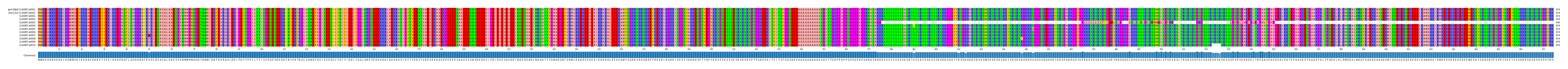 Multiple Alignments (by translate haplotype frequency)