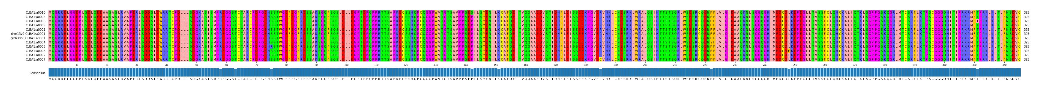 Multiple Alignments (by translate haplotype similarity)