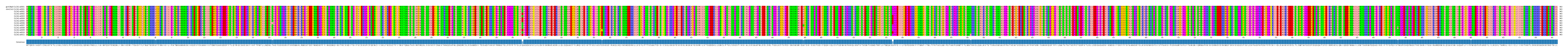 Multiple Alignments (by translate haplotype frequency)