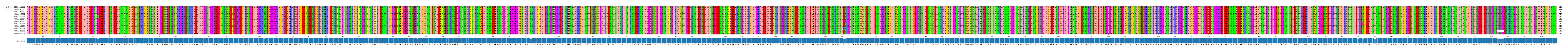 Multiple Alignments (by translate haplotype frequency)