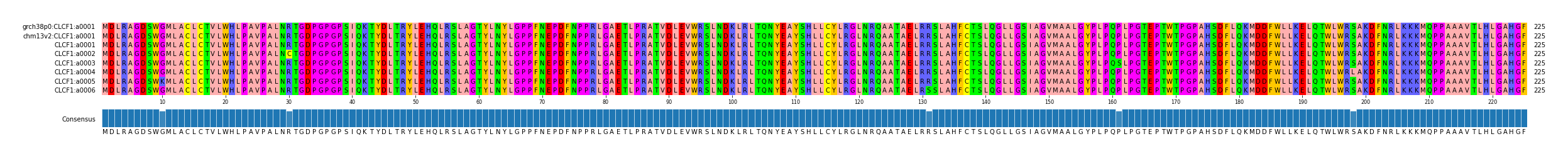 Multiple Alignments (by translate haplotype frequency)