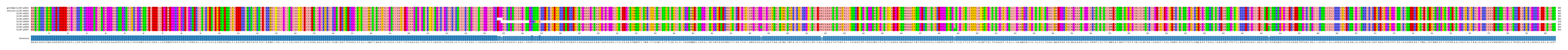 Multiple Alignments (by translate haplotype frequency)