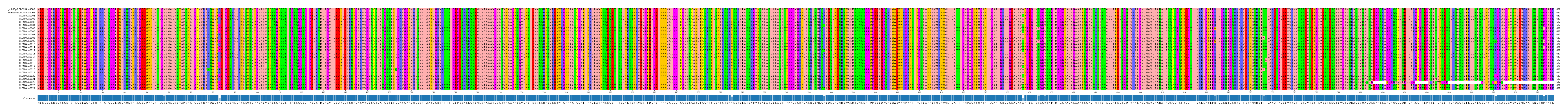 Multiple Alignments (by translate haplotype frequency)