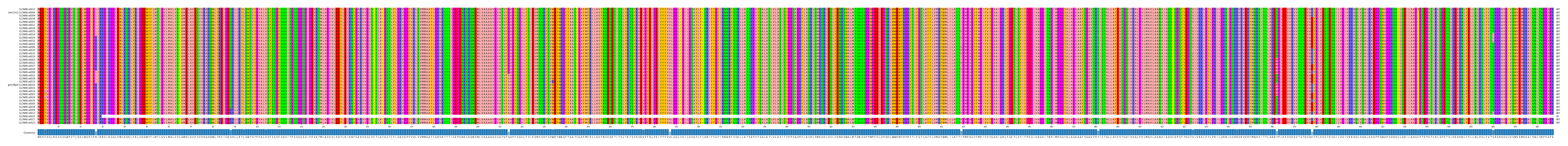 Multiple Alignments (by translate haplotype similarity)