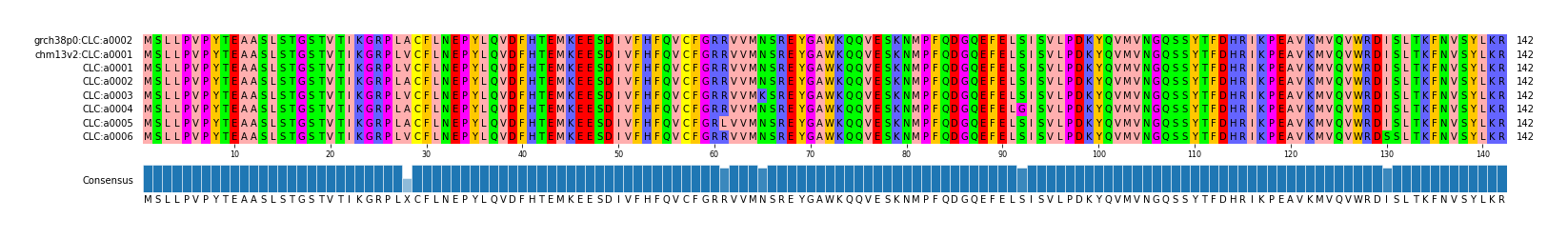 Multiple Alignments (by translate haplotype frequency)