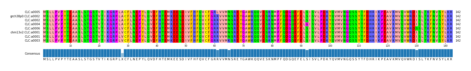 Multiple Alignments (by translate haplotype similarity)
