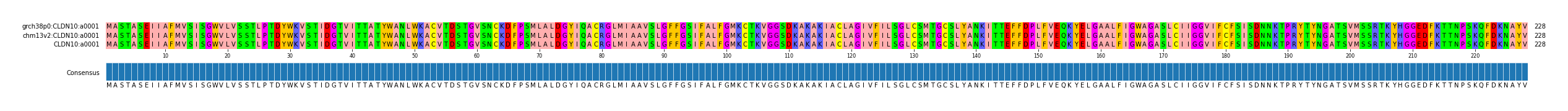 Multiple Alignments (by translate haplotype similarity)